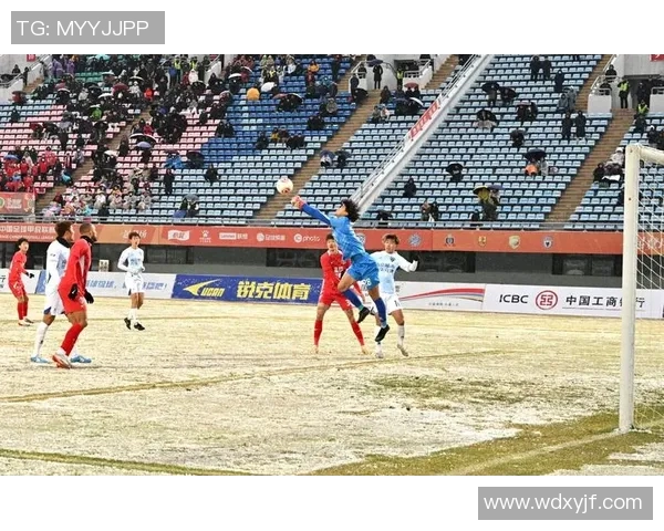 签名足球的魅力与收藏价值探讨：如何选择与保养你的珍贵球品